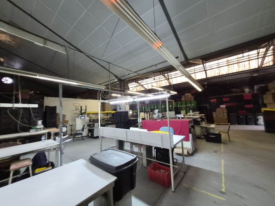 To Let Commercial Property for Rent in Gants Plaza Western Cape